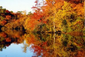 duluth fall colors on the river