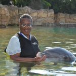 Orlando Dolphin Encounter November 2022 (23)