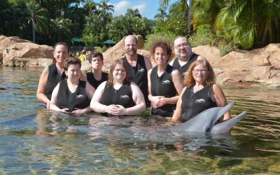 Dolphin Encounter, November 2024