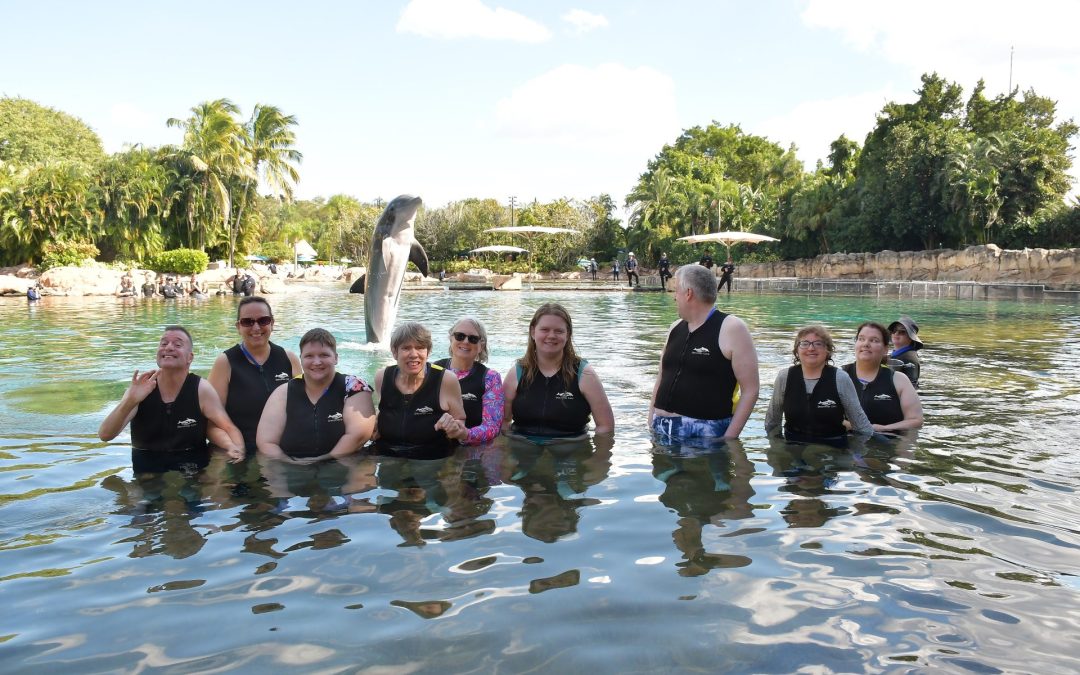 Dolphin Encounter, November 2025