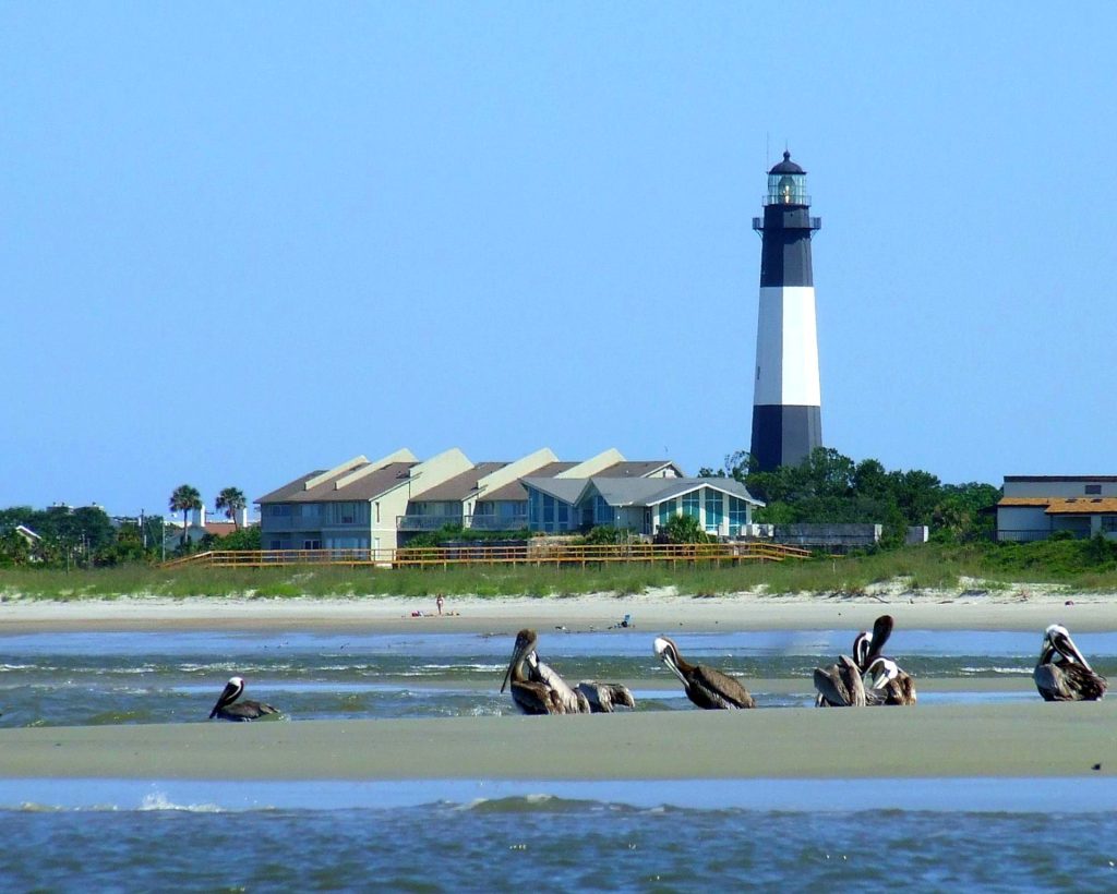 savanna_tybee_island01
